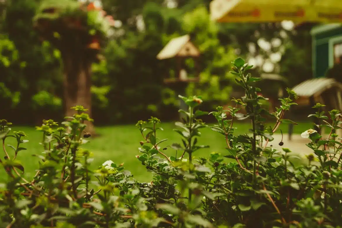 Quelles installations pour profiter de son jardin l'été